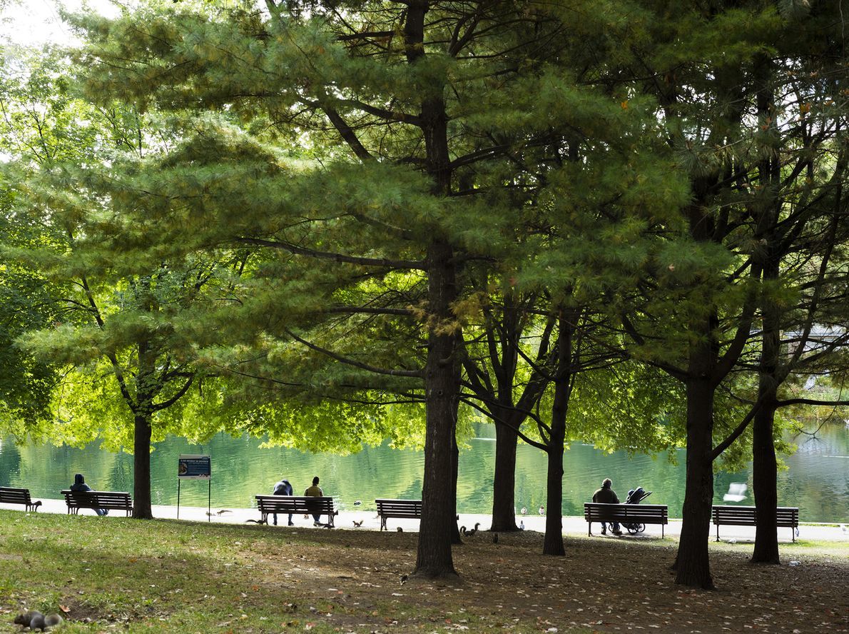 Montreal parc la fontaine